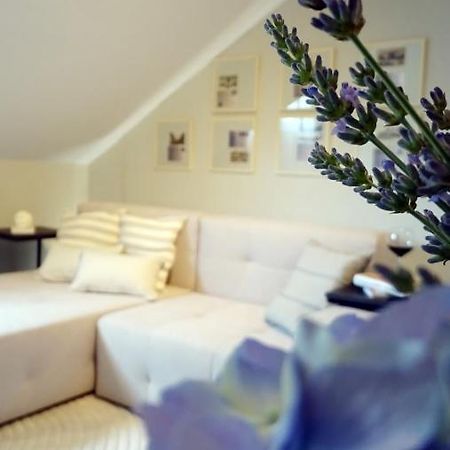 Petite Grey Apartment With Free Private Parking Zagreb Luaran gambar